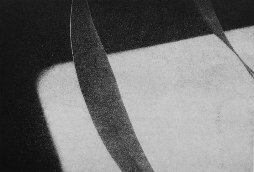 Organic composition VI | 2017 | 38x58cm | photogravure
